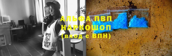 молекула духа Козельск