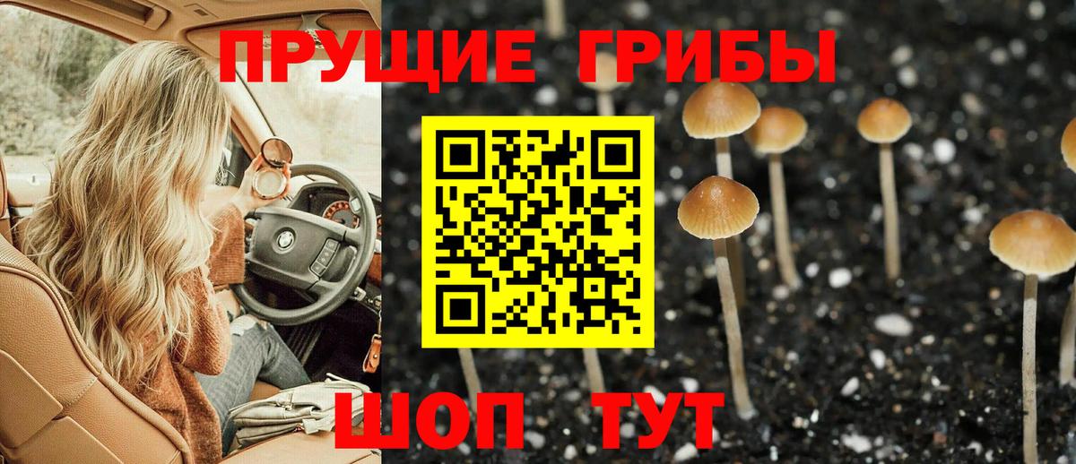 Галлюциногенные грибы мухоморы Магадан