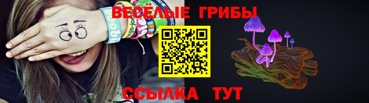 Псилоцибиновые грибы MAGIC MUSHROOMS  Вход с VPN  Магадан 